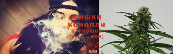 прущие грибы Волосово