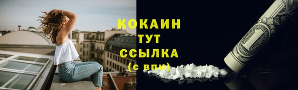 прущие грибы Волосово