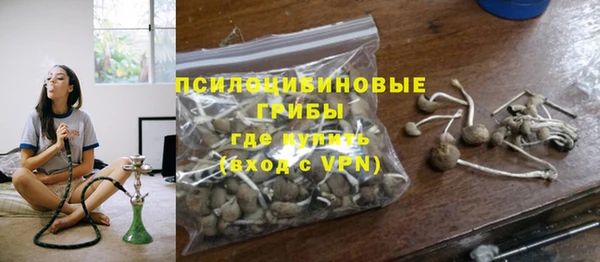 прущие грибы Волосово