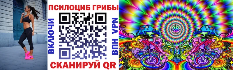 Псилоцибиновые грибы мицелий  наркошоп  Змеиногорск 